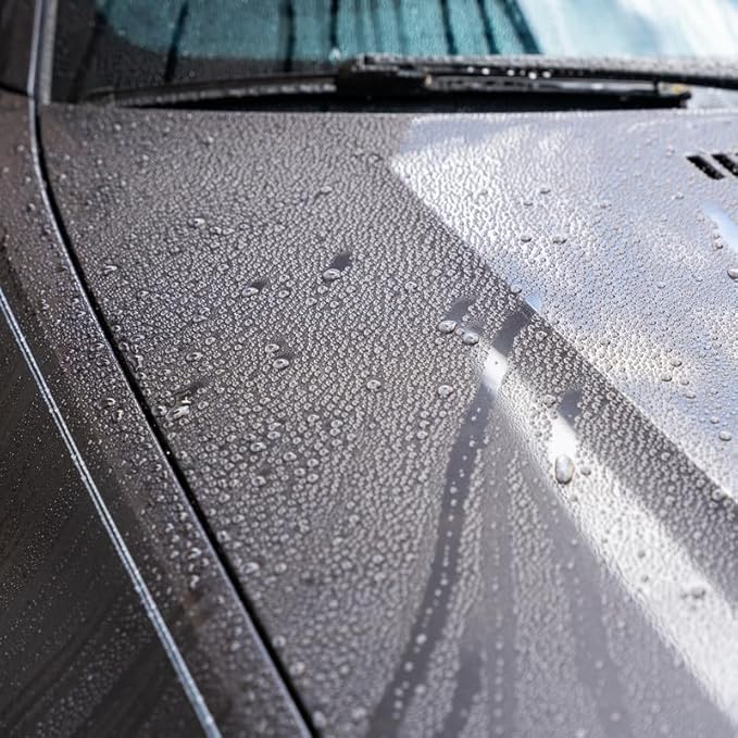 GYEON Wet Coat Kit - Hydrophobic Ceramic Spray Coating for Cars - High Gloss Solutions for Your Car Paint Wheels and Glass - Spray On Rinse Off Easy DIY Use Formula