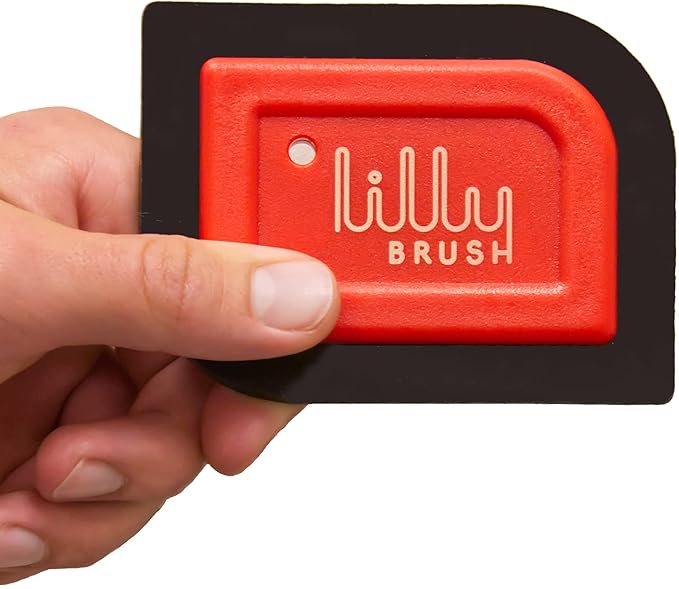 Lilly Brush Mini Pet Hair Detailer | Reusable Fur Remover for Car Interior, Carpet, Couch & Furniture