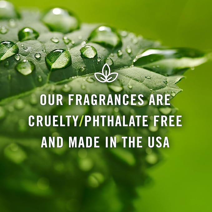 P&J Trading Fragrance | Seashore Oil 30ml - Candle Scents for Candle Making, Freshie, Soap Making Supplies, Diffuser Oil Scents